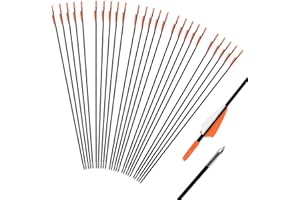 iMeshbean Fibreglass Arrows for Archery, Pack of 25 Bow Arrows Adult 31 Inch Fibreglass Arrow Hunting Arrows for Bow, Recurve Bow, Sports Bow