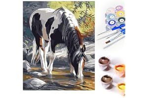SupLetsico Malen Nach Zahlen Erwachsene Pferd DIY Handgemalt Ölgemälde Kit Pferde Acrylpigment Malen Nach Zahlen Geschenke und Wanddekoration - 40 x 50 cm rahmenlos