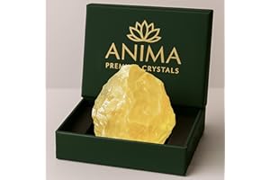 ‎ANIMA Anima Citrin Kristall – Groß 4–5 cm Strahlend Gelber Naturbelassener Rauer Citrin stein für Fülle, Positivität & Selbstvertrauen – Ethisch Gewonnen, Präsentiert in Eleganter Geschenkbox