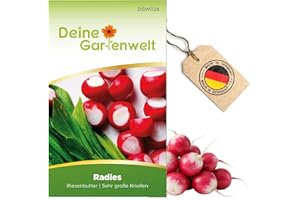 Radish Giant Butter Seeds - Raphanus sativus - Radish Seeds - Vegetable Seeds - Seeds for 250 Plants