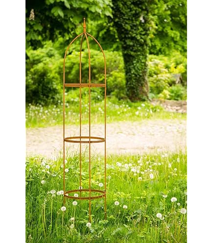 BEEGMA Obelisk Rankhilfe Metall Wetterfest Rankobelisk Gartenspalier 180x50cm 230x50cm 280x50cm 330x50cm für Bepflanzung, Garten Top-Vogeldesign (Color : Black, Size : H180x D50cm(5.9x1.6ft)) Garten
