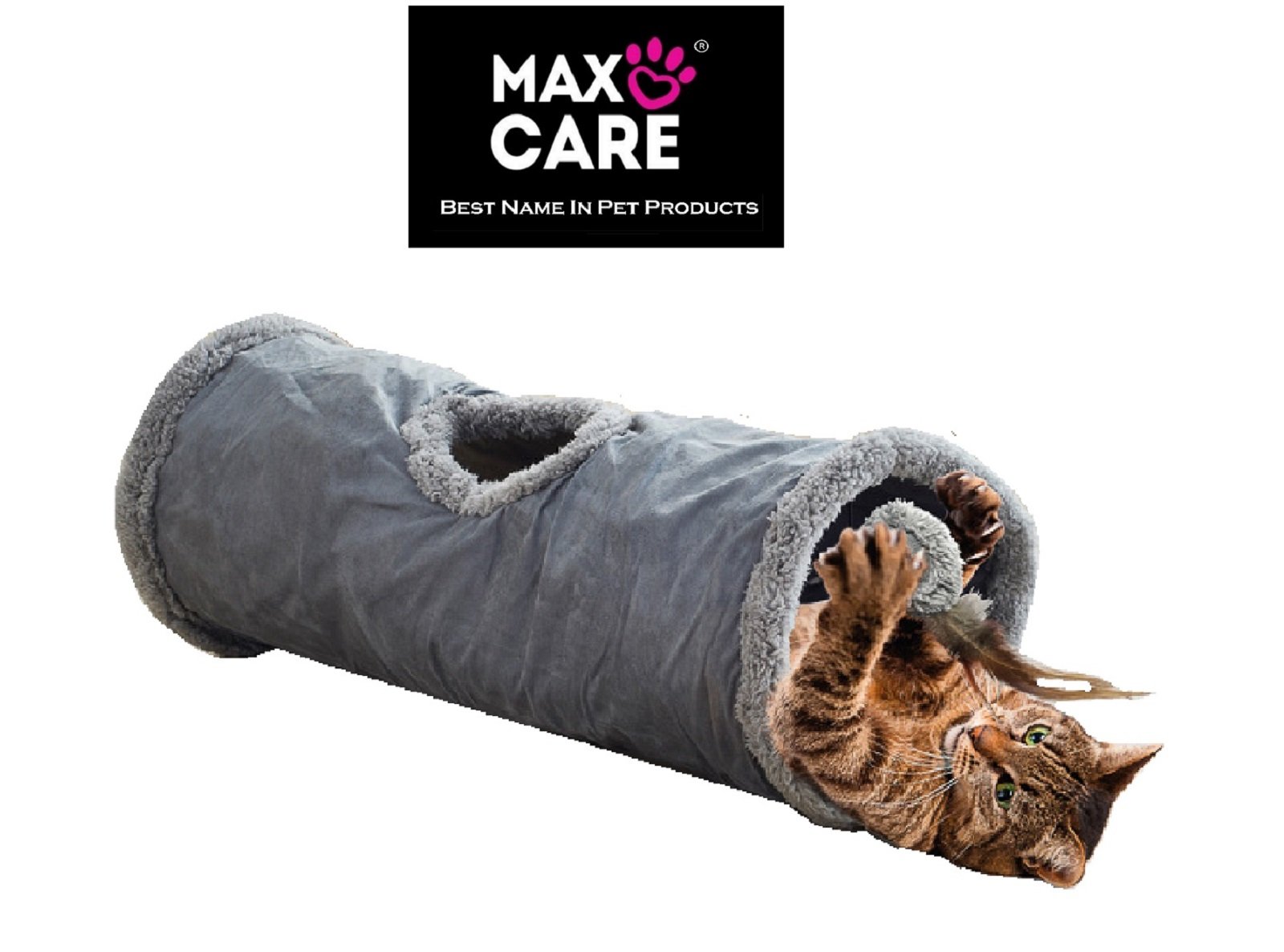 grey cat tunnel