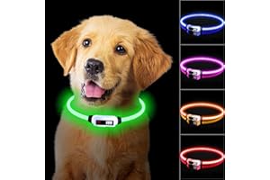 TENXSNUG Collare Luminoso per Cani Ricaricabile Type-C, LED Collare per Cani Regolabile e Impermeabile con 3 Modalità per Cani di Taglia Piccola Media Grande, Alta Visibilità e Sicurezza, Verde