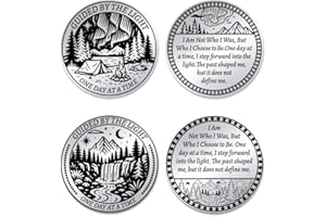 UNICRAFTALE 2Pcs Aurora Camping Coins Forest Waterfall Coins Stainless Steel Word Coin Decision Maker Commemorative Coin with Paper Box for Women Men Commemorative Gifts