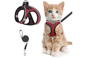 HAHEITA Cat Harness and Lead Set for Walking Escape Proof, Adjustable Kitten Vest Harness Reflective Soft Mesh Puppy Vest for Outdoor, Comfort Fit, Easy to Control