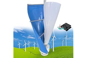 FABLESTORYEM 12000W Kit de Générateur d'éolienne, 12V/24V/48V 2 Pales Arbre à Lévitation Magnétique Hélicoïdal, éolienne Verticale avec Contrôleur MPPT Convient pour Une Utilisation à Domicile en Usine,D-48V
