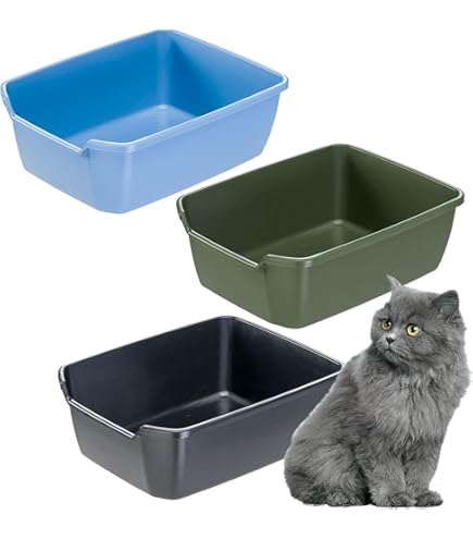 Rotho MyPet Eco Bonnie Lettiera Per Gatti Con Ingresso Dall'Alto - Plastica Riciclata, 57.2x39.3x20.9 Cm