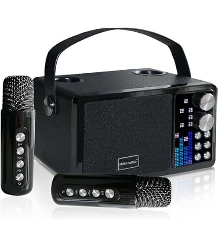 Karaoke systeem met 2 microfoons - 20W bluetooth speaker - BT / USB