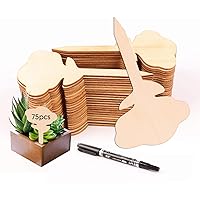 colmanda Set Pflanzenschilder, 75pcs Holz Pflanzenetiketten mit Marker Pflanzetiketten Garten und Holz Pflanzen Marker…