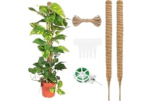 TENGYIF 2 Pièces Tuteur Plante,Tuteur Plante Grimpante,Tuteur Plante Support Plante,avec 1 Rouleau D'attaches Zippées,1 Corde et 5 étiquettes de Jardin pour Jardins,Supports de Plantes Naturelles