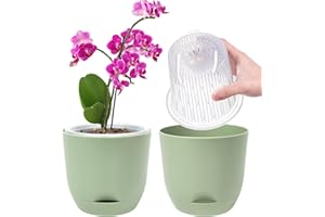 QCQHDU 2Pack Pot pour Orchidées Transparent, 14,7 Cm Pot De Fleur Intérieur, Bac À Réserve d'eau pour Plante Intérieur, Double Couche Auto-Irrigation avec Circulation d'air Optimale(Vert Pur)