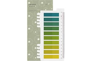 ‎ORDINATE Ordinate 200 Stück Sticky Notes, Transparent Haftnotizen zum Markieren, Haftstreifen, Seitenmarkieren, Ästhetischer Haftnotizzettel, Full Color of Gradient (A-200 Stück Sunburst Green)