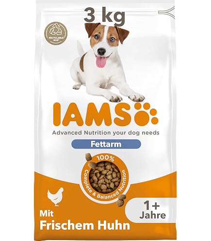 katzenspielzeug mit katzenminze Katzen Spielzeug mit Katzenminze