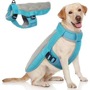Amazon.de Bestseller: Die beliebtesten Artikel in Winterjacken &  Wintermntel fr Hunde