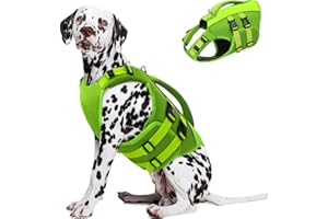 QUEENMORE Qeenmore Chaleco Salvavidas para Perro Talla XL - Verde, Ripstop, Ajustable, con D-Ring, Flotabilidad Extra, para Perros Grandes