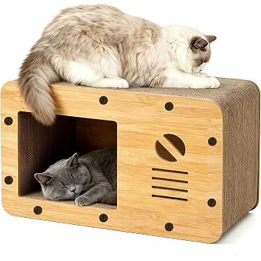 Zapatillas de Casa de Gatos - Oferta Limitada en Stock