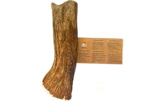 RF - DEER RF-DEER Moose Dog Antler | Natural Long Lasting Chew Treat | Enjoyment and Dental Care for Your Dog | Antlers for Dogs Available in Different Versions | HARD Version | Size XXL | 18-21 cm | 220-280 g