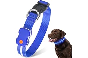 CAWJUG Light up Dog Collar, Rechargeable LED Dog Collar with 3 Glowing Modes, Adjustable Flashing Dog Collar for Small Medium Large Dogs(Blue, M)