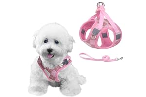 PawSailor Harnais Chien Anti-Fuite Anti-Traction, Carreaux Harnais pour Petit Chien avec Laisse Réglable Respirante, Sécurité Réfléchissante pour l'entraînement à la Marche, Rose XXS
