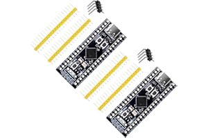 STM32F401 Core kleine Systemplatine AYWHP 2 PCS Typ-C ARM Lernplatine Cortex-M4 64 KB 256 KB Flash-Speicher kompatibel mit Arduino