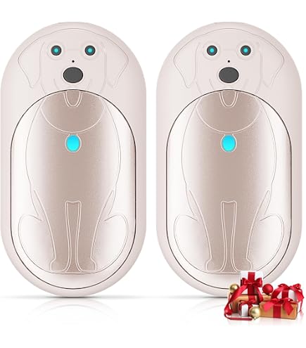 Chauffe-mains Rechargeable 10000mAh - Lot De 2 Avec 3 Modes De Température, Pour Extérieur Et Intérieur