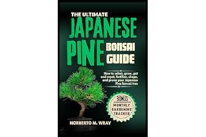 The Ultimate Japanese Pine Bonsai Guide: How to select, grow, pot and repot, fertilize, shape, and prune your Japanese Pine bonsai tree