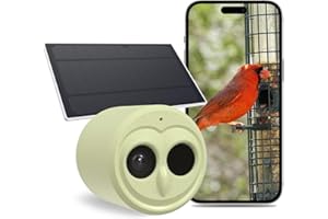 WINGHOME Hibird - Telecamera per bird watching 5G, intelligenza artificiale intelligente per identificare e catturare automaticamente oltre 10000 specie di uccelli, IP66, mini telecamera wireless con pannello