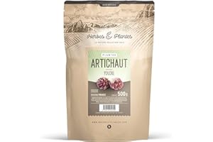 123GELULES Artichaut Feuille Poudre 500 g
