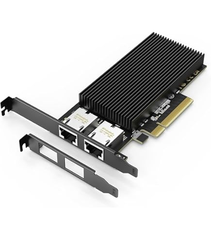 Synology E10G18-T1 10GB NW CARD W 10GBASE-T PORTS, Black/Blue