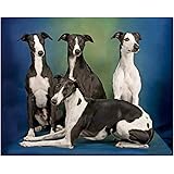 whippet jigsaw puzzles