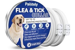 PAISTELY 2 Pack Collare Antiparassitario Per Cani Bianco, Antipulci Sicuro Ed Efficace Composto Da Oli Essenziali Naturali Al 100%, 65cm Antizecche Per Cani Di Tutte Le Taglie