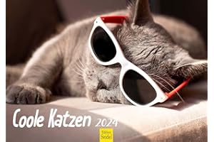 ‎EDITION SEIDEL Edition Seidel Premium Kalender Coole Katzen 2024 Format DIN A4 Wandkalender Katzenkalender Tiere mit Sprüchen Katze lustige Sprüche Motivation