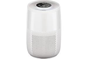 INSTANT POT Instant Air Purifier AP100, oczyszczacz usuwa 99,9% bakterii, wirusów i zarodników pleśni. Zaawansowany system filtrów Hepa 3 w 1 / oczyszczacz powietrza do pomieszczeń mieszkalnych i biznesowych.