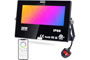 LED Flood Lights RGB Colour Changing 300W Equivalent Outdoor, 30W Bluetooth RGBW Smart Floodlight APP Control, IP66 Waterproof, Timing, 2700K & 16 Million Colours for Garden Stage, DUSKTEC
