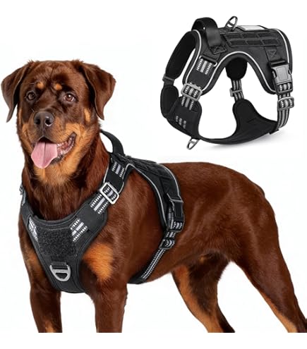 Carhartt No Pull Nylon Dog Harness Fully Adjustable with Quick