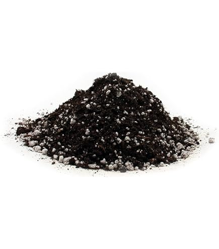 GebEarth® | Torba Bionda Acida di Sfagno[5L] | Ideale per
