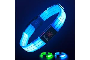 Leuchthalsband Hund, Hundehalsband Leuchtend Aufladbar mit Batteriekontrollleuchte, Wasserdichtes LED Hundegeschirr Leuchtend, Einstellbare Größe 3 Blinkende Lichter