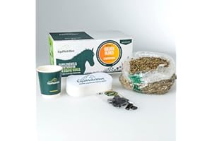 Equinutritive Golden Oldies - Equine Veteran Supplement with Boswellia. Supports Joints, Immune & Metabolic Systems. Total System Care for Older & Senior Horses. 100% Natural Feed Supplements (600 g)