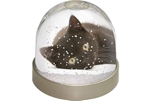 Advanta Group Stunning Black Cat Photo Snow Globe Waterball