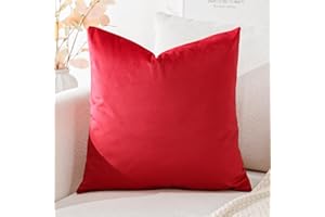 Artscope Fundas de Cojines de Terciopelo Decorativas Cuadradas Color Solido 50x50cm para Decoración del Hogar Sofá Dormitorio Coche Rojo