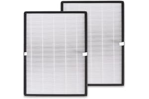 PUREBURG Paquete de 2 filtros de repuesto HEPA de alta eficiencia compatibles con el purificador de aire Balter LR-02