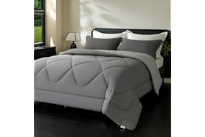 beeweed Piumino Letto Matrimoniale 4 Stagioni 220x240, Reversibile Piumone Autunnale Invernale 220x240cm - Coperta Trapunta 240x220 di Microfibra Sintetico 300 GSM, OEKO-TEX, Con 2 federa(40X80)