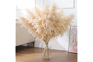 SHOKAN Pampasgras Groß 100cm/39inch, 10 Sträuße Getrocknetes Pampasgras XXL, Natürliche Flauschige Pampasgras Deko Trockenblumen für Boho Deko Wohnzimmer Schlafzimmer Hochzeits Deko