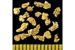 GOLD-FIEBER Lot de 20 pépites d'or véritable de qualité supérieure en Alaska de 2 à 3 mm + certificat d'authenticité, super cadeau