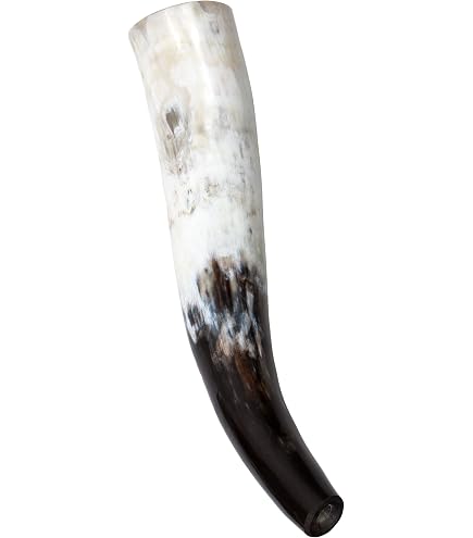 Corne D'appel Polie FRERA 500-690 Ml - Corne Naturelle Pour Festivals Médiévaux, Musique, Cadeau Unique