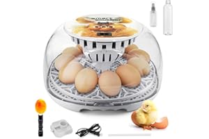 SENXINGYAN Incubadora Automática de Huevos, Capacidad 12 Huevos, Volteo Automático, Pantalla de Temperatura, Ventana 360°, con lámpara para revisar huevos, Ideal para Gallinas, Patos y Codornices