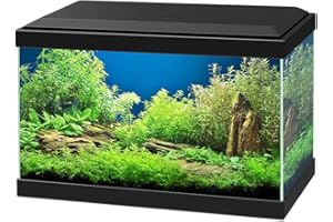 ZEKUIOP Ciano Aqua 20 Aquarium with LED Lights & Filter BLACK