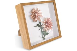 FALSKT Cornice 3D Profonda con Vetro 22 x 22 cm Cornice 3D Profonda per Oggetti Fino a 6 cm cornice trasparente da riempire Contenitore per Foto Medaglia Fiore Regali Souvenir (Legno)