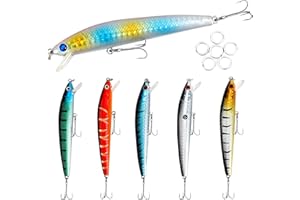 PWSAP 6pcs di Esche Artificiali Minow Fishing Lure Hard Baits Crank Baits ABS Artificial Lure for Bass Fishing Tackle Esca Rigida bionica Artificiale Esca Pesca in Mare e Acqua Dolce