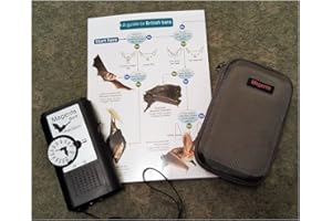 GADINO Magenta Bat Detector Kit - including Bat 4 Detector +Hard Zip Case + Field Guide to British Bats …